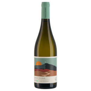 Ribes du Vallat Blanc 2022